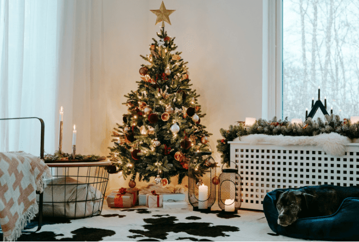 A gloriously decorated Christmas tree in a living room during the winter